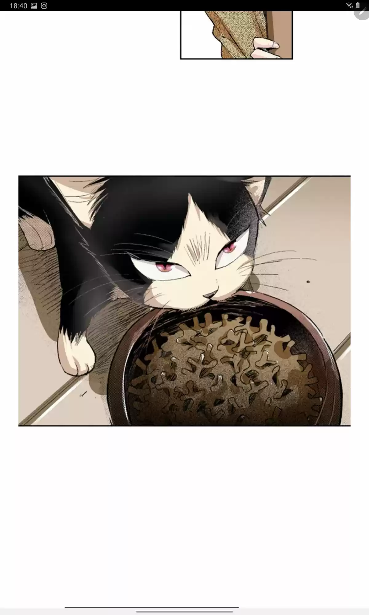 My Roommate Is A Cat - Capítulo 2 - Página 12 - LectorTMOo