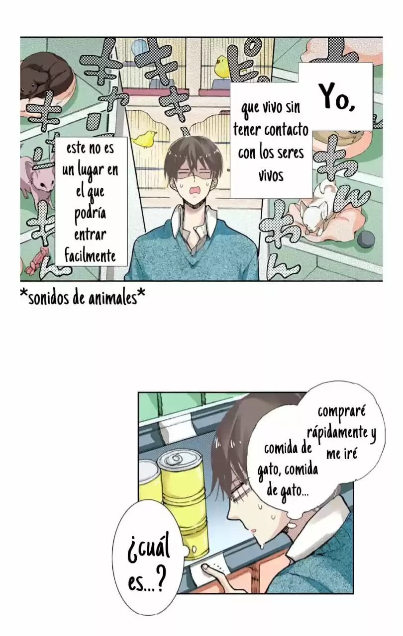 My Roommate Is A Cat - Capítulo 4 - Página 17 - LectorTMOo