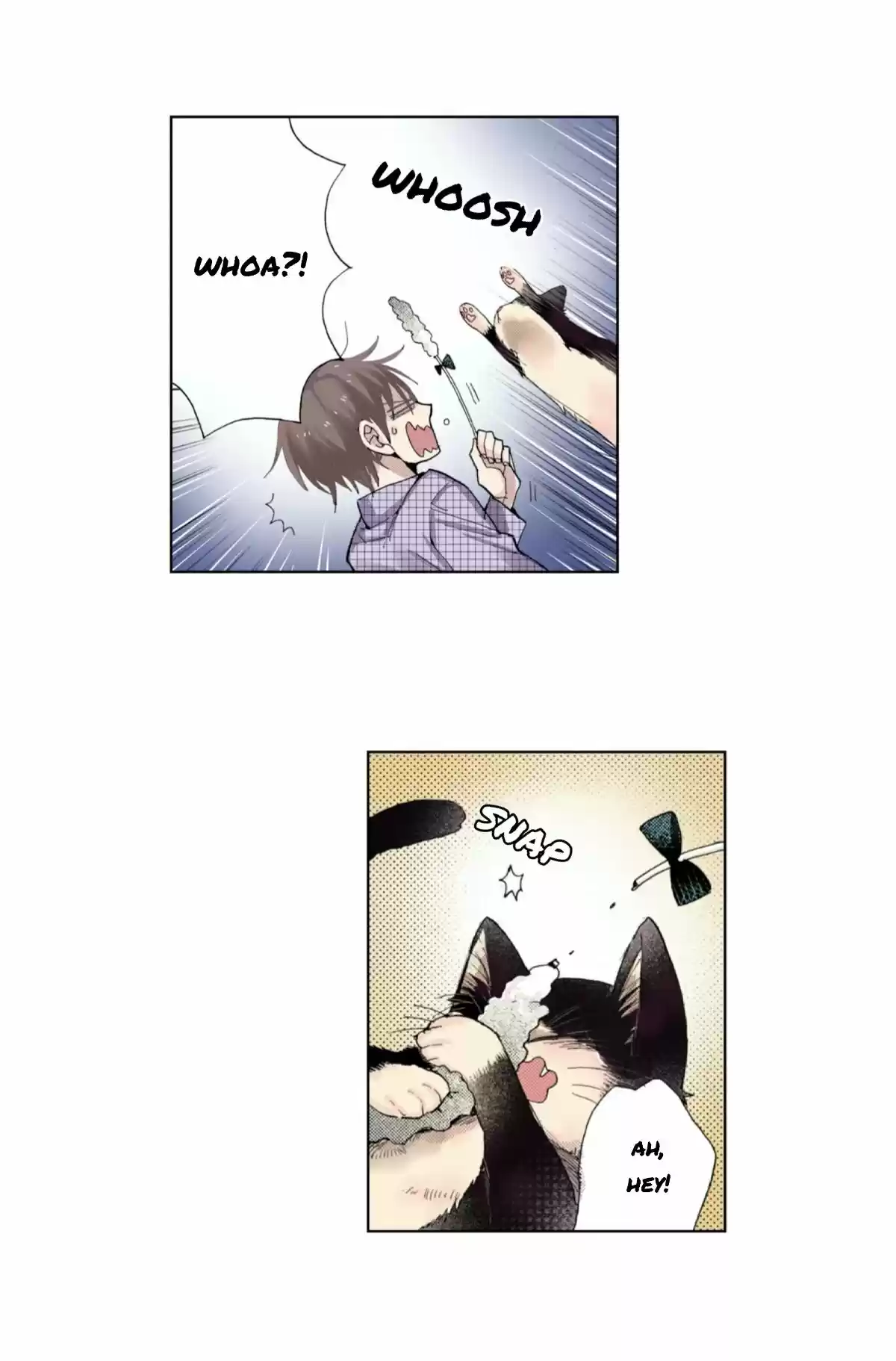 My Roommate Is A Cat - Capítulo 8 - Página 17 - LectorTMOo