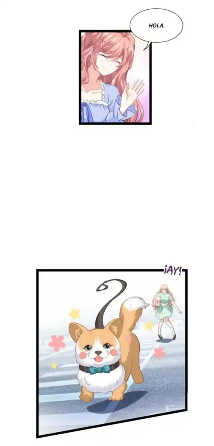My Wife Is Pathetic - Capítulo 226 - Página 10 - LectorTMOo