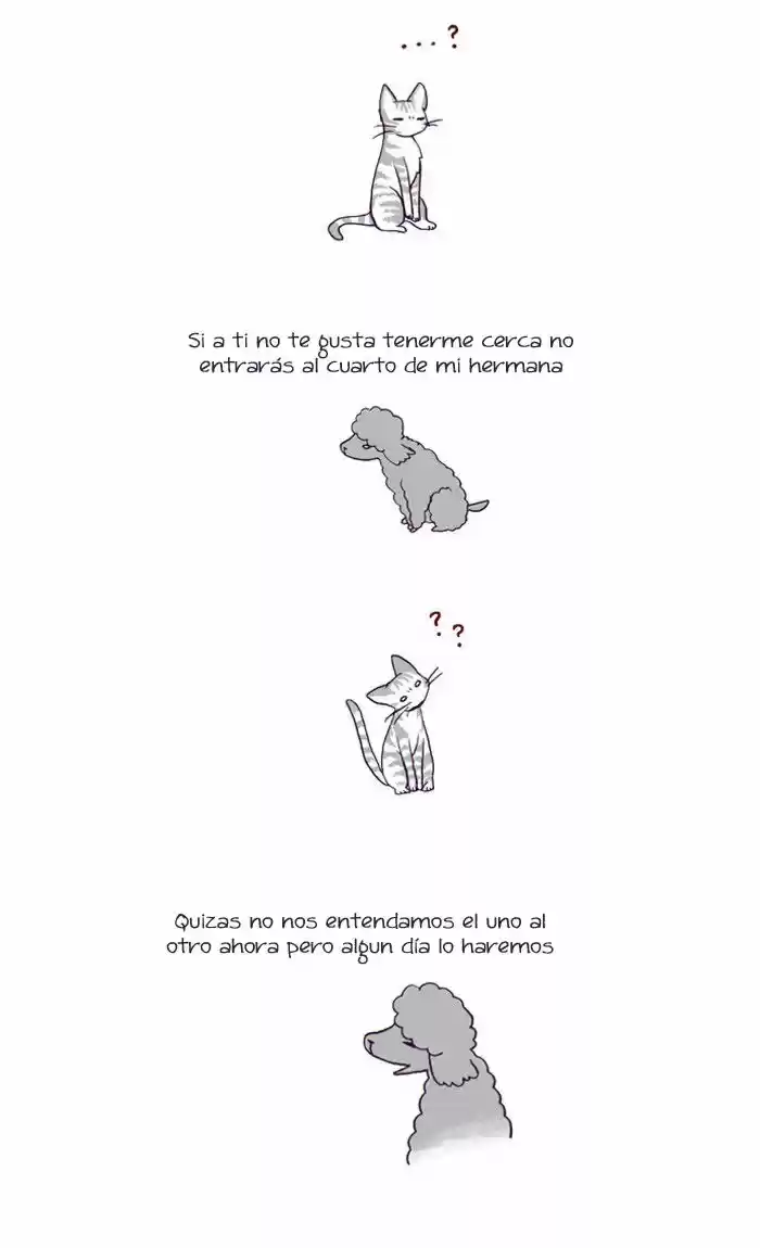 My Young Cat And My Old Dog - Capítulo 29 - Página 3 - LectorTMOo