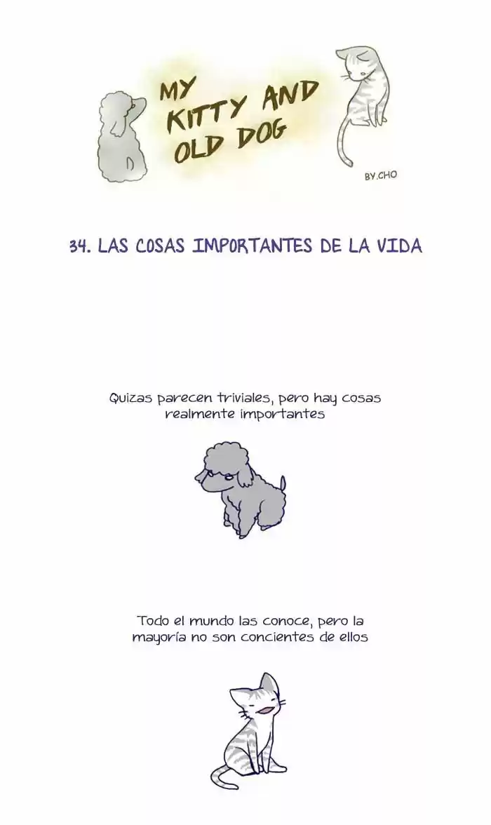 My Young Cat And My Old Dog - Capítulo 34 - Página 1 - LectorTMOo