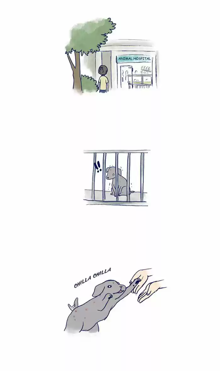 My Young Cat And My Old Dog - Capítulo 36 - Página 2 - LectorTMOo