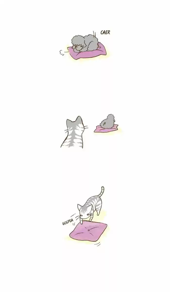 My Young Cat And My Old Dog - Capítulo 41 - Página 3 - LectorTMOo