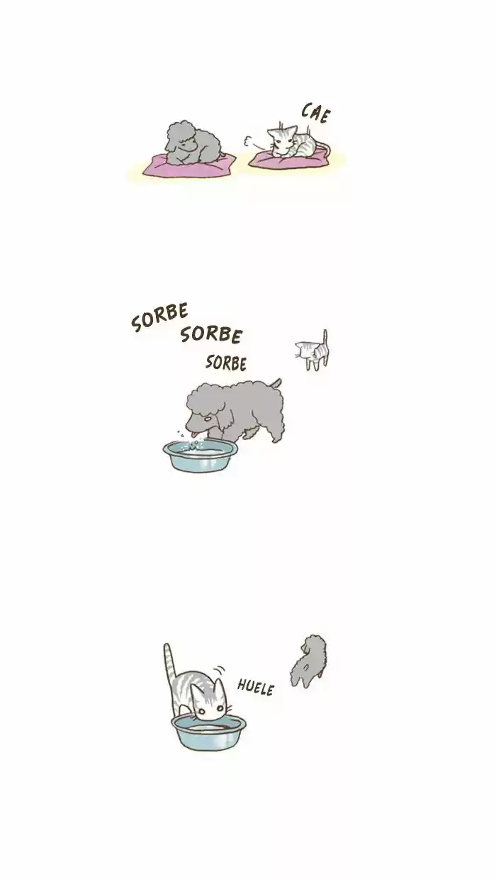 My Young Cat And My Old Dog - Capítulo 41 - Página 4 - LectorTMOo