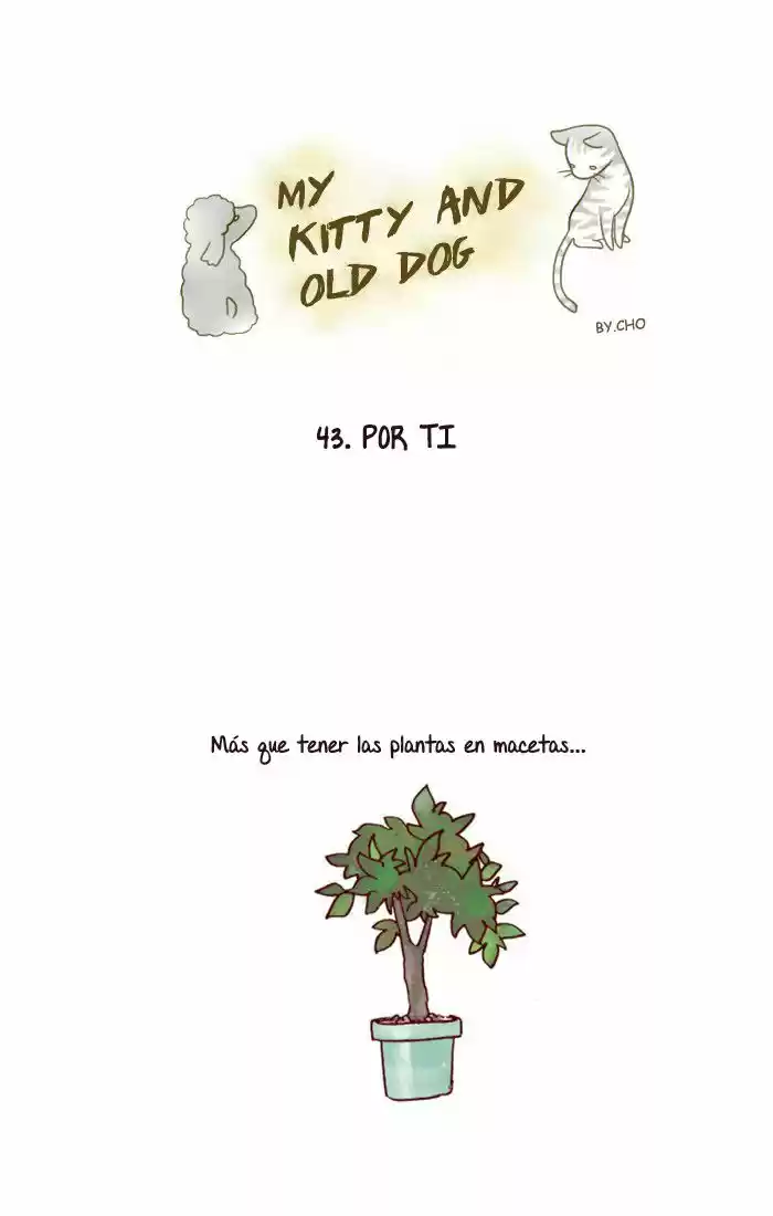 My Young Cat And My Old Dog - Capítulo 43 - Página 1 - LectorTMOo