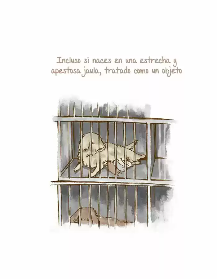 My Young Cat And My Old Dog - Capítulo 44 - Página 2 - LectorTMOo