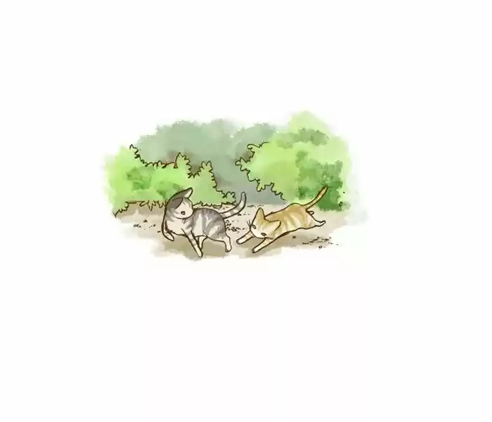 My Young Cat And My Old Dog - Capítulo 44 - Página 10 - LectorTMOo