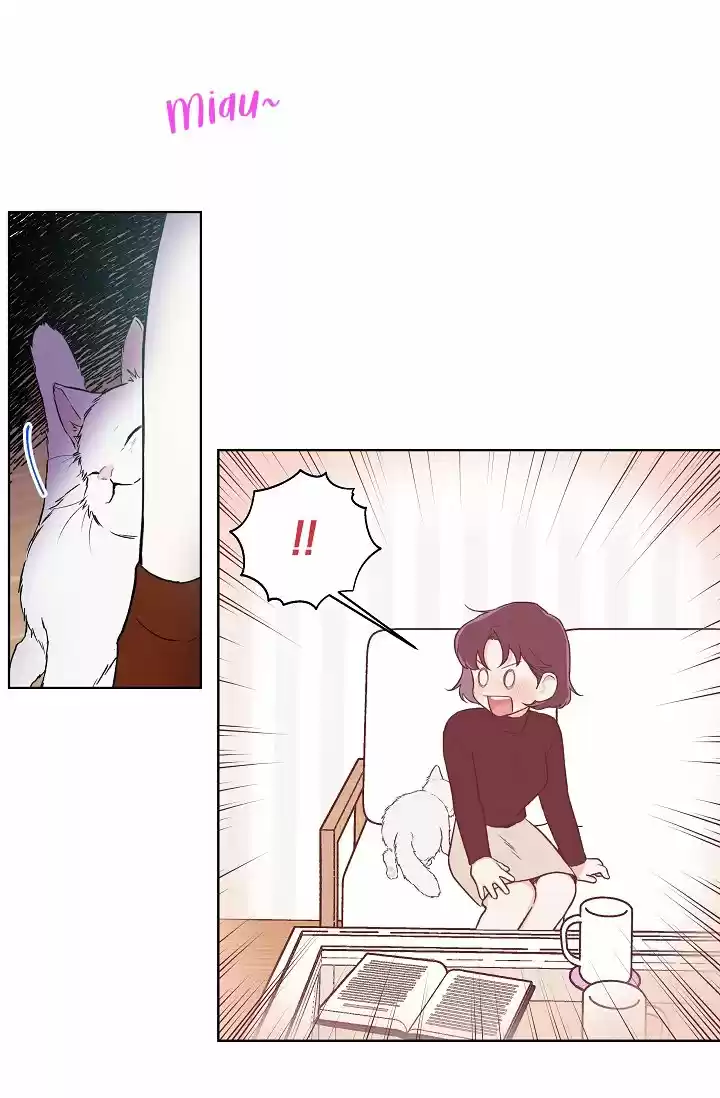 MYSTIC MESSENGER - Capítulo 16 - Página 25 - LectorTMOo