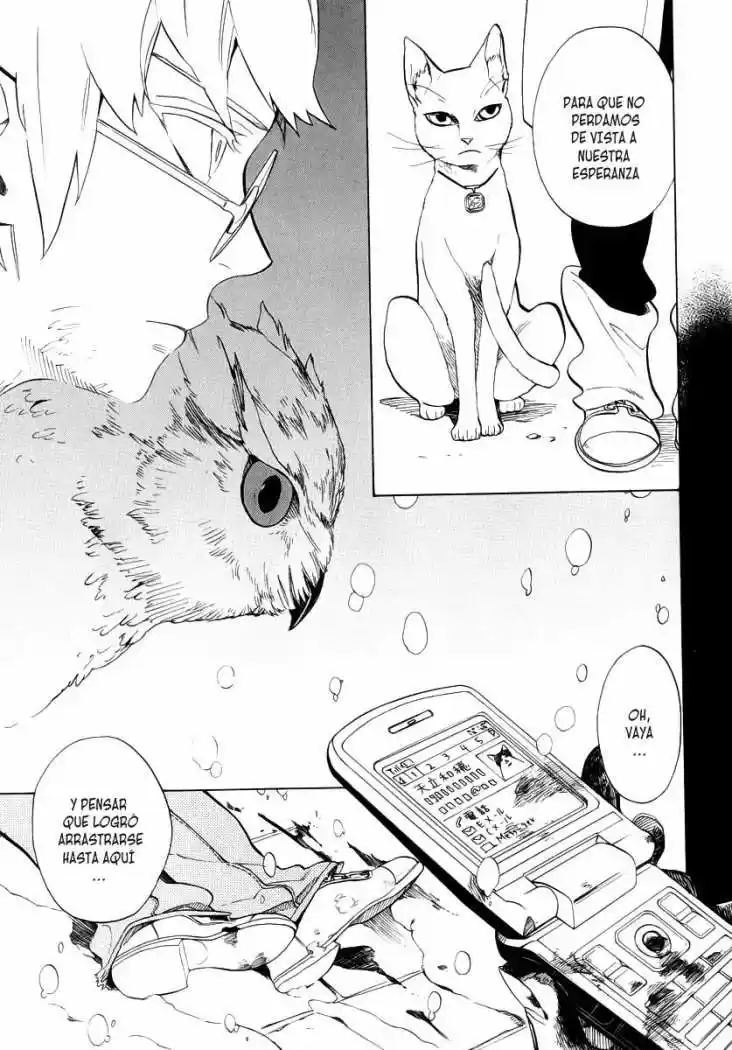 Nabari No Ou - Capítulo 51 - Página 16 - LectorTMOo