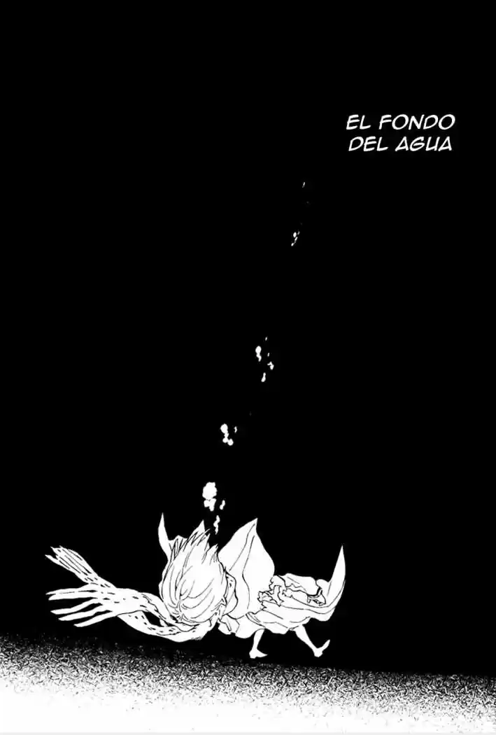Nabari No Ou - Capítulo 71 - Página 34 - LectorTMOo