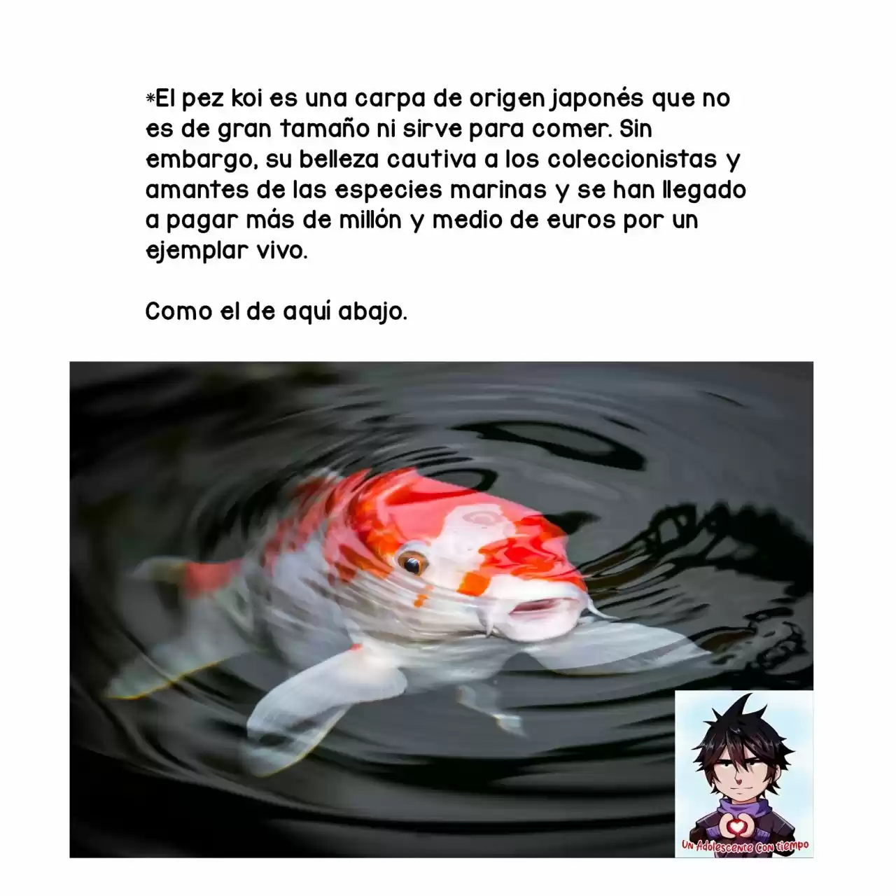Naka No Warui Iinazuke No Hanashi - Capítulo 11.50 - Página 24 - LectorTMOo