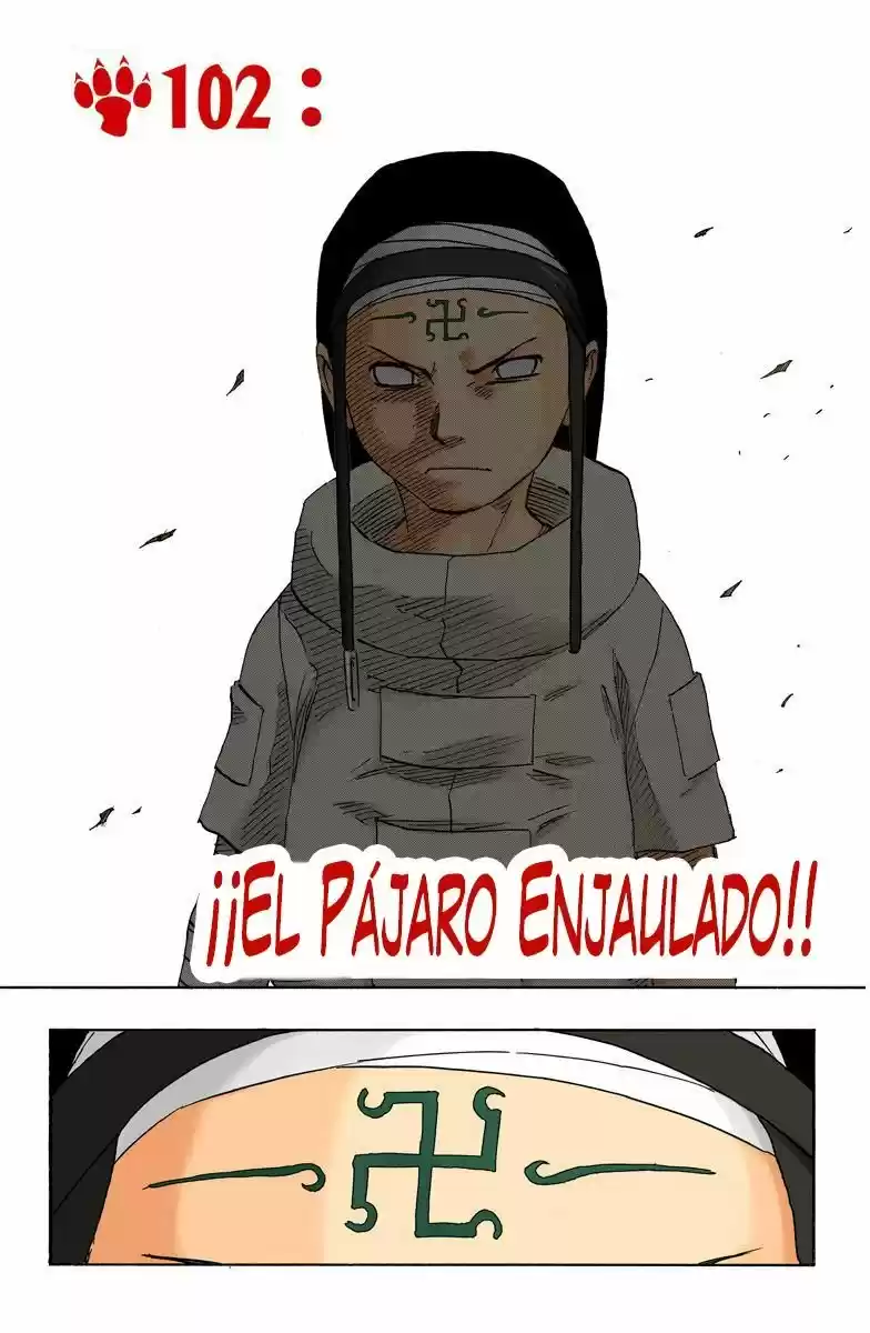 Naruto Color Oficial - Capítulo 102 - Página 4 - LectorTMOo