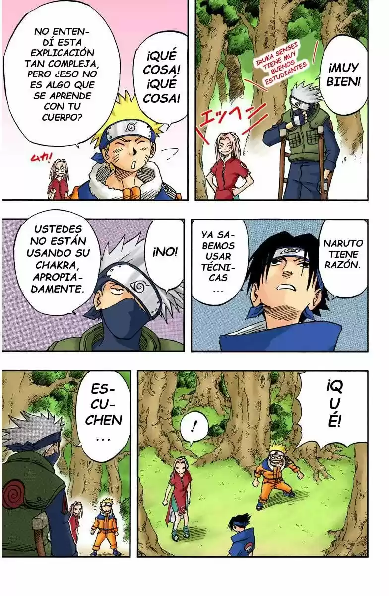 Naruto Color Oficial - Capítulo 17 - Página 17 - LectorTMOo