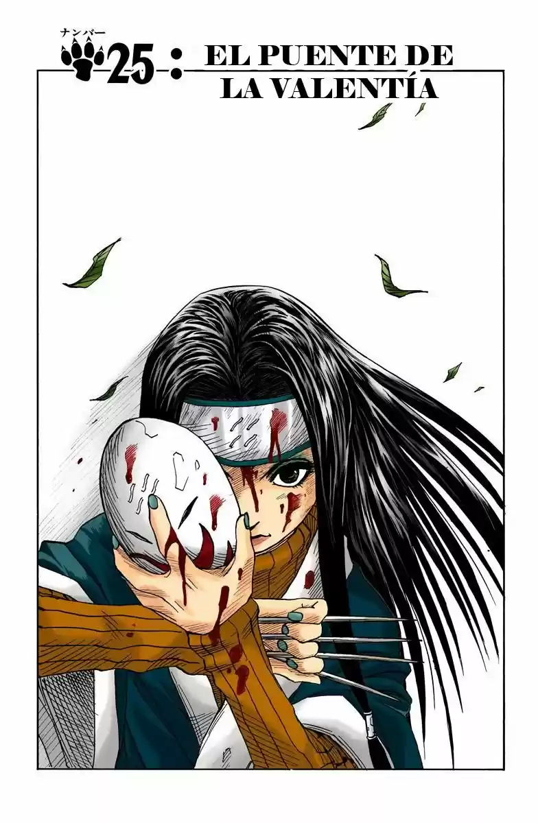 Naruto Color Oficial - Capítulo 25 - Página 1 - LectorTMOo