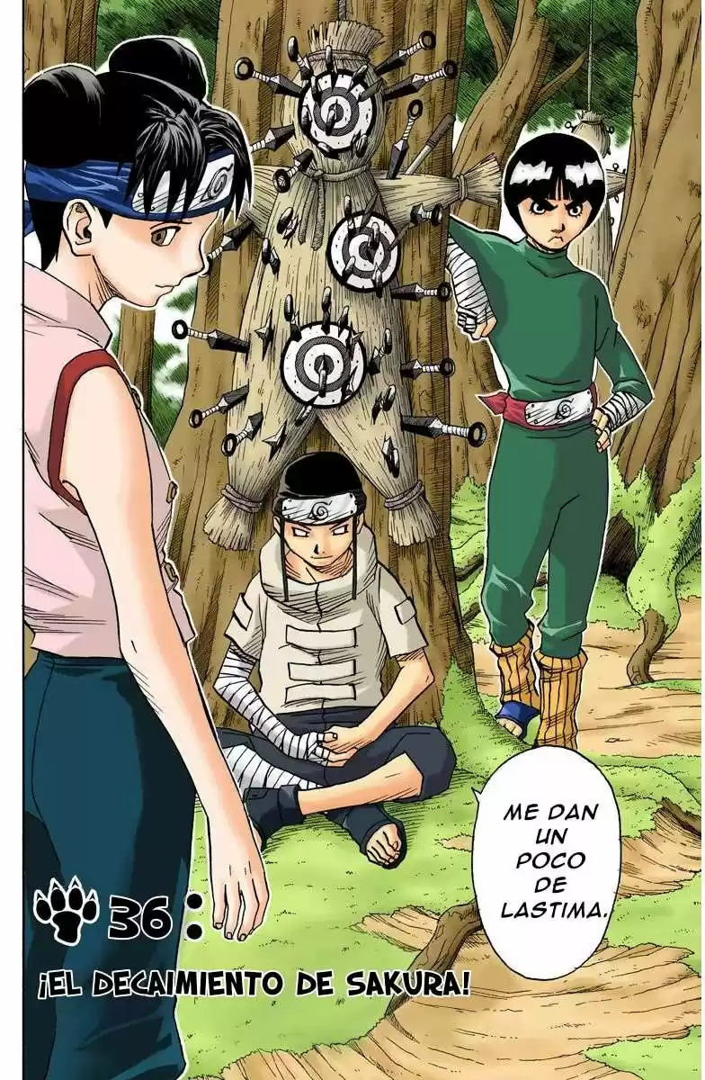 Naruto Color Oficial - Capítulo 36 - Página 2 - LectorTMOo