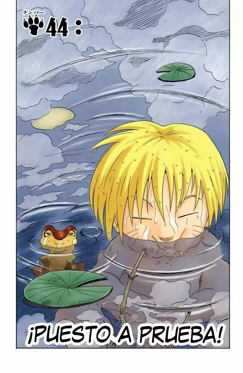 Naruto Color Oficial - Capítulo 44 - Página 1 - LectorTMOo