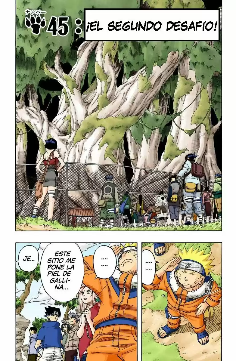 Naruto Color Oficial - Capítulo 45 - Página 1 - LectorTMOo