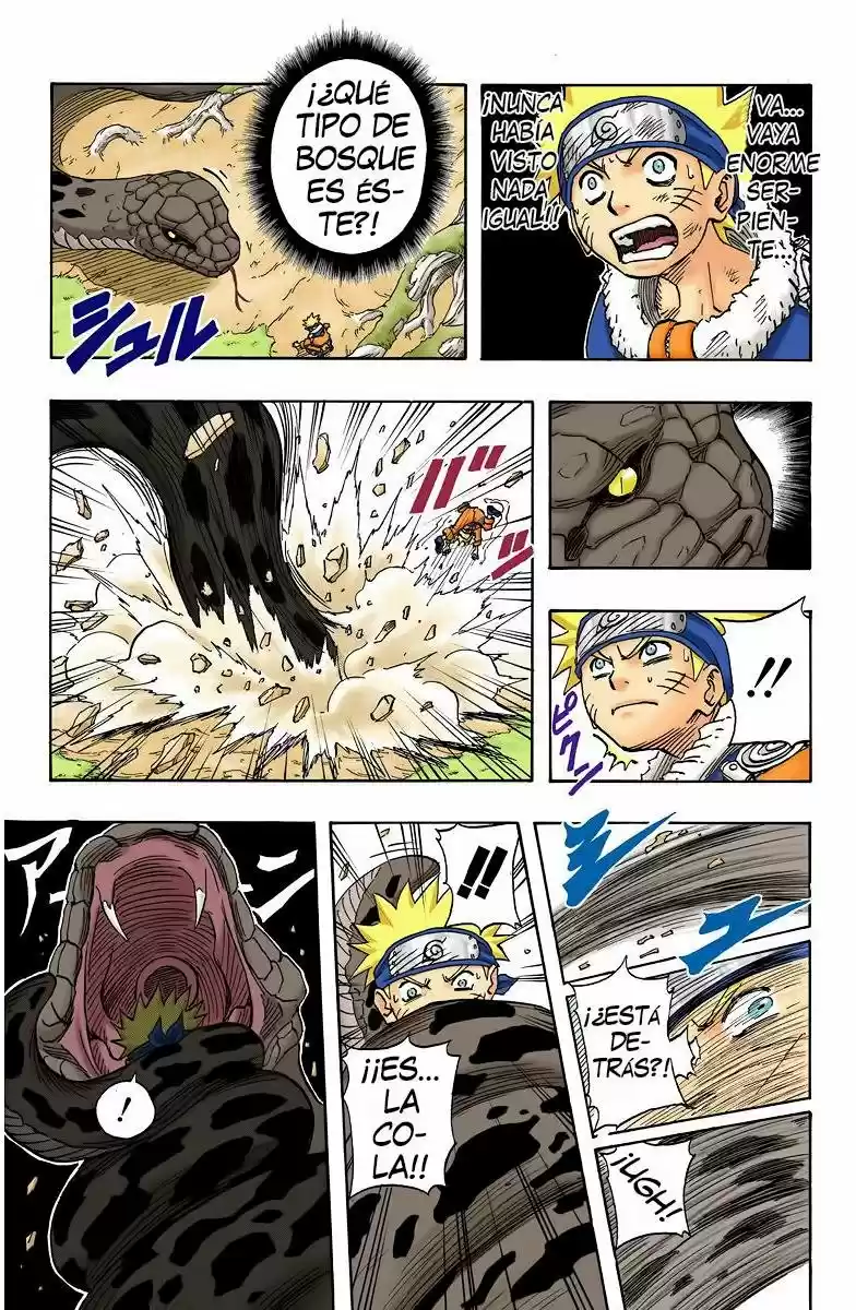 Naruto Color Oficial - Capítulo 47 - Página 3 - LectorTMOo