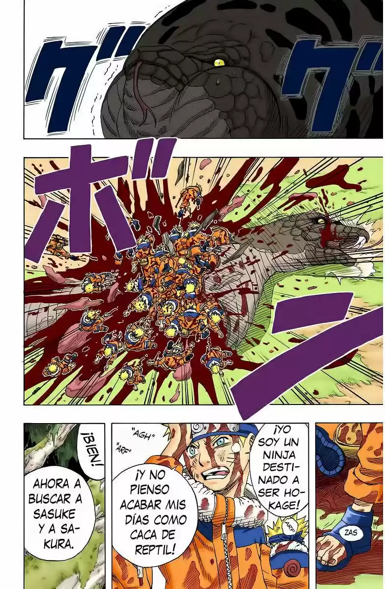 Naruto Color Oficial - Capítulo 47 - Página 14 - LectorTMOo
