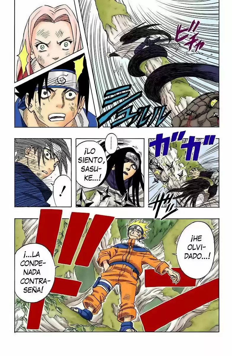 Naruto Color Oficial - Capítulo 47 - Página 19 - LectorTMOo