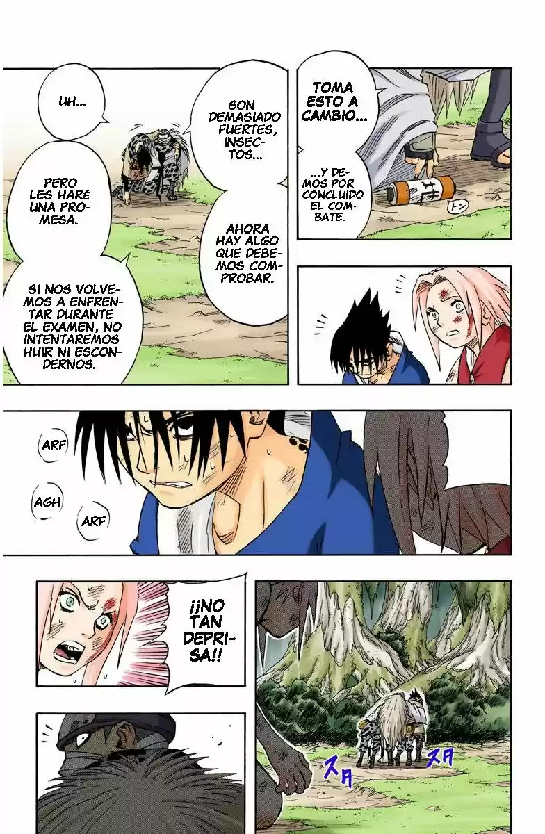 Naruto Color Oficial - Capítulo 56 - Página 17 - LectorTMOo