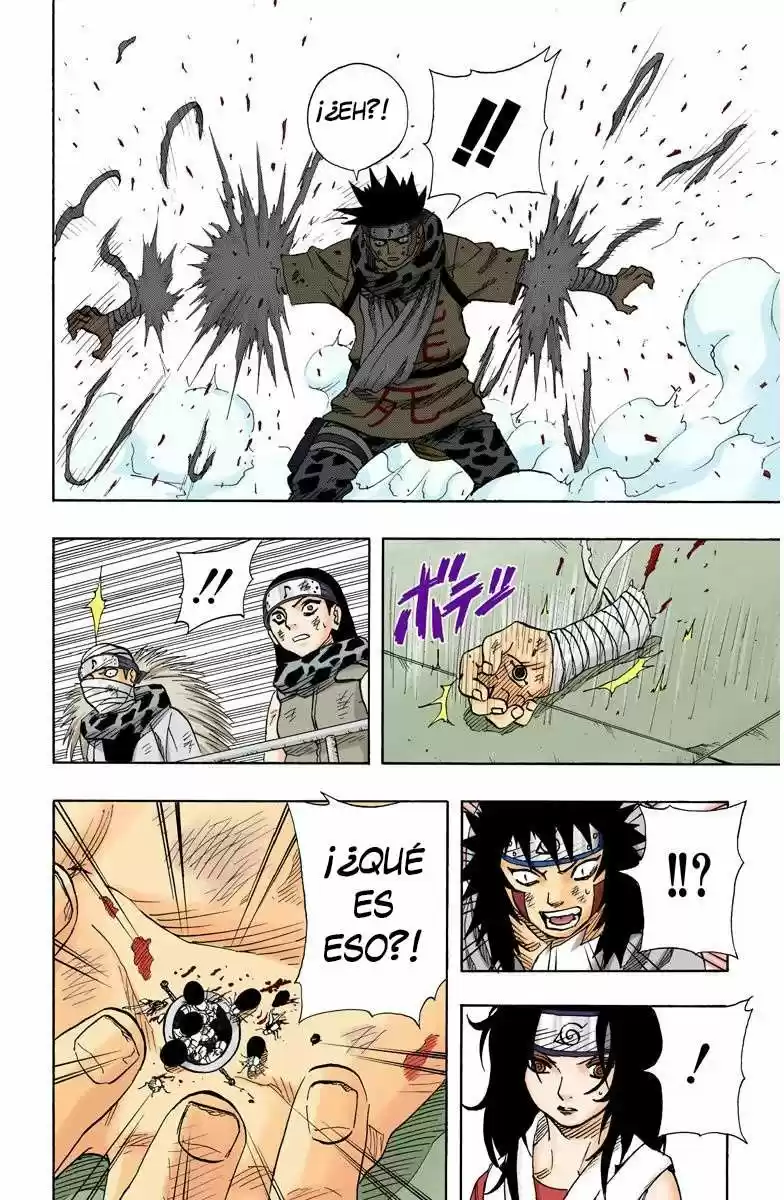 Naruto Color Oficial - Capítulo 69 - Página 18 - LectorTMOo