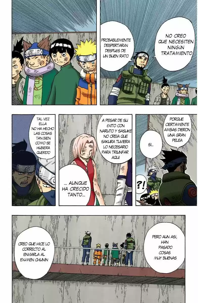 Naruto Color Oficial - Capítulo 73 - Página 19 - LectorTMOo