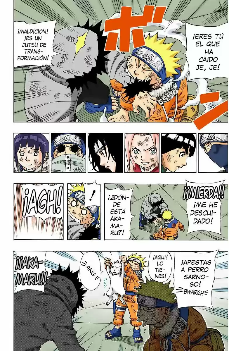 Naruto Color Oficial - Capítulo 75 - Página 17 - LectorTMOo