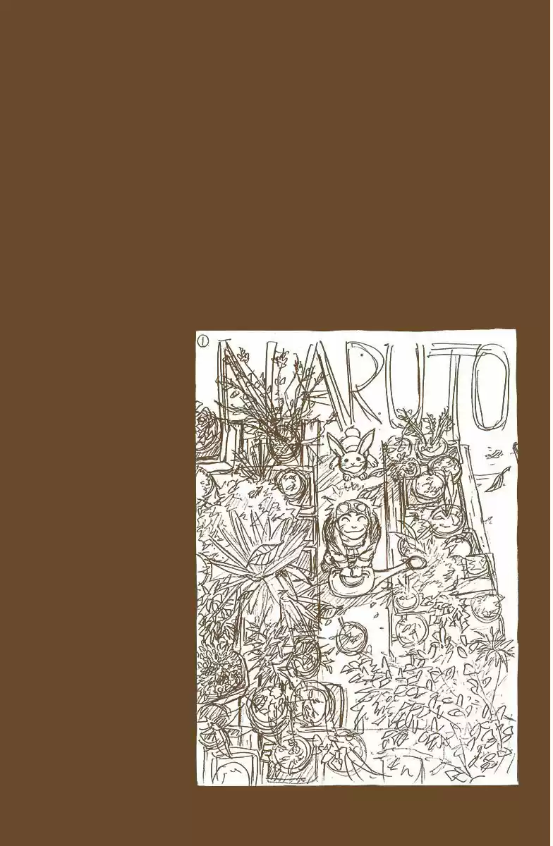 Naruto Full Color - Capítulo 21 - Página 14 - LectorTMOo