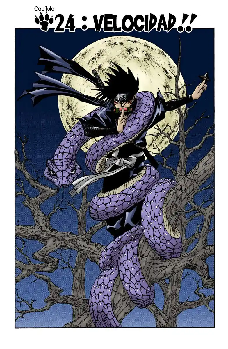 Naruto Full Color - Capítulo 24 - Página 1 - LectorTMOo