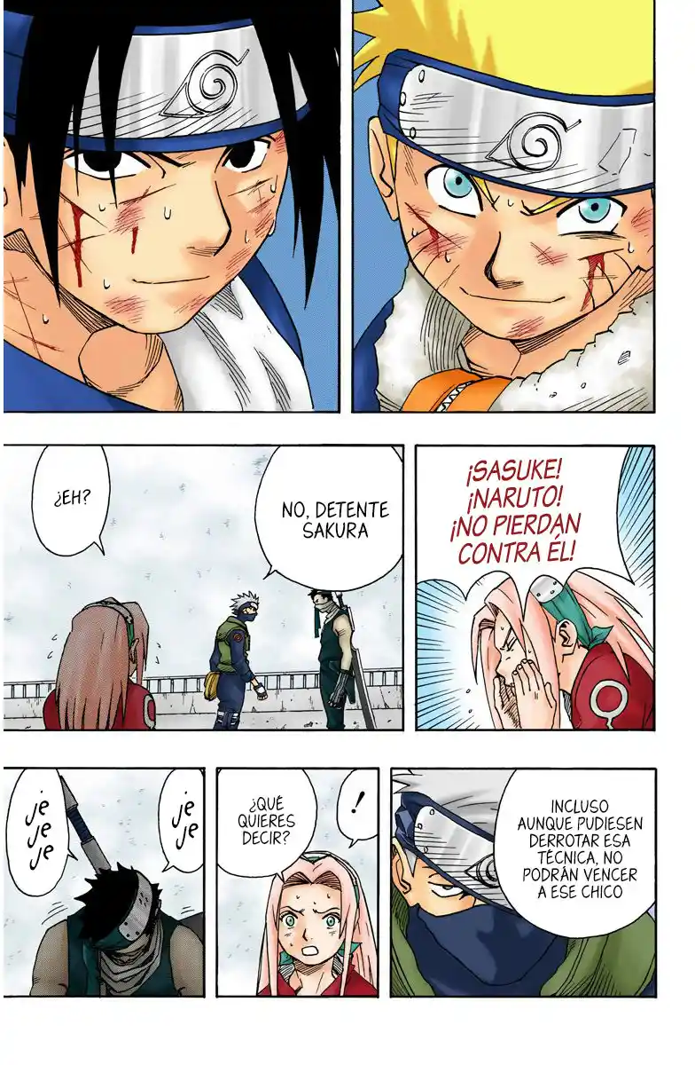 Naruto Full Color - Capítulo 25 - Página 17 - LectorTMOo