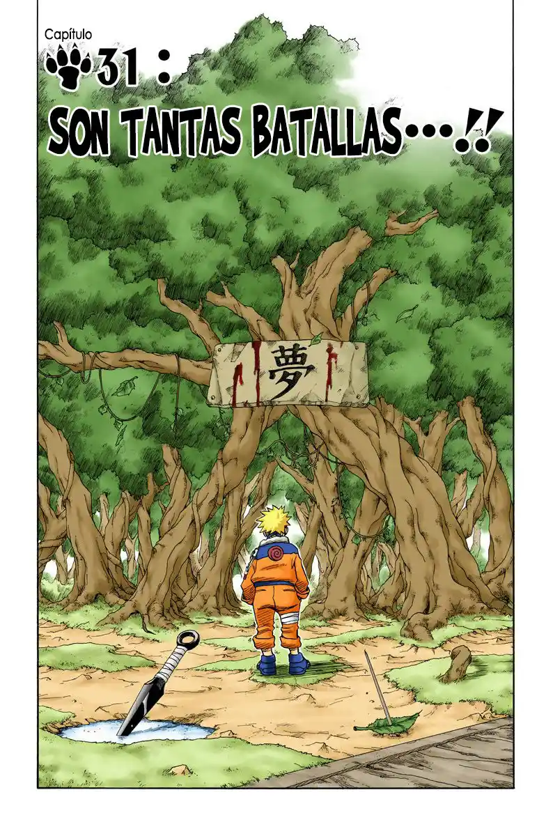 Naruto Full Color - Capítulo 31 - Página 1 - LectorTMOo