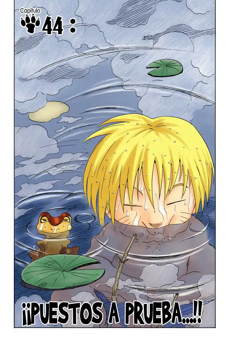 Naruto Full Color - Capítulo 44 - Página 1 - LectorTMOo