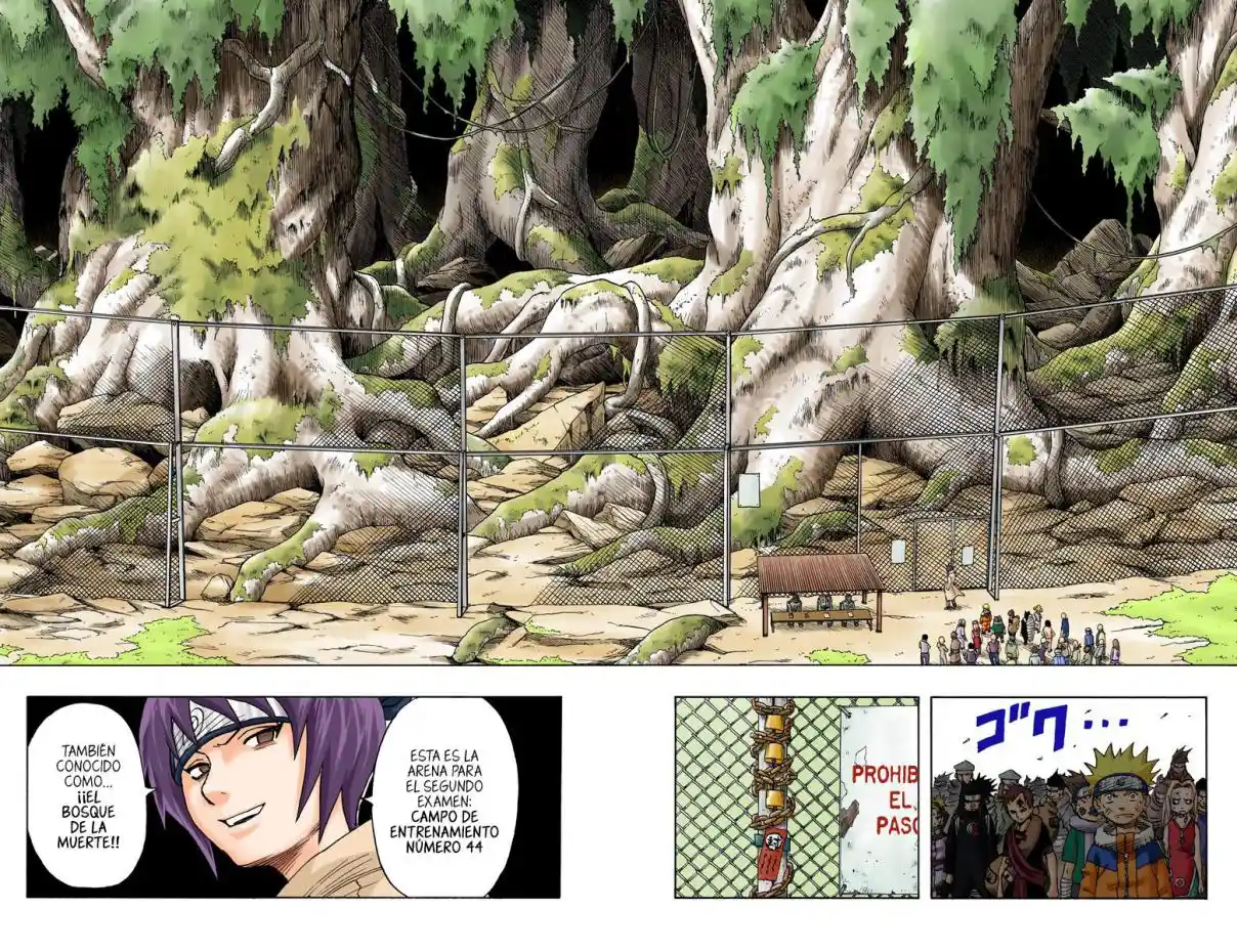 Naruto Full Color - Capítulo 44 - Página 18 - LectorTMOo