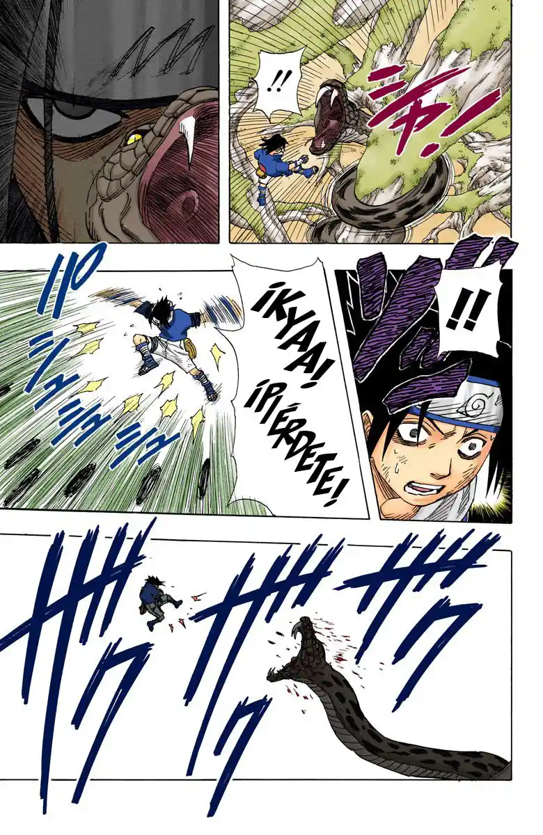 Naruto Full Color - Capítulo 47 - Página 17 - LectorTMOo