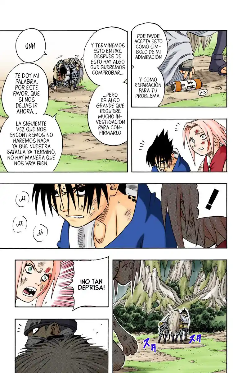 Naruto Full Color - Capítulo 56 - Página 17 - LectorTMOo