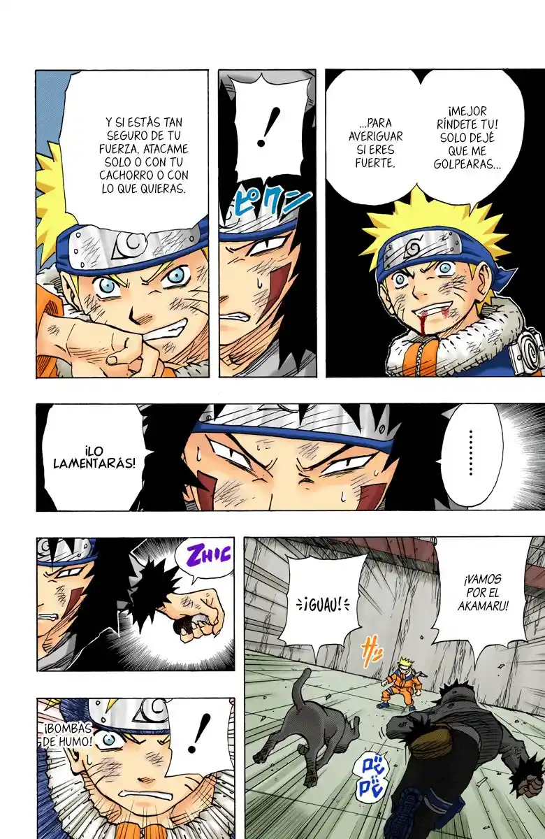 Naruto Full Color - Capítulo 75 - Página 13 - LectorTMOo