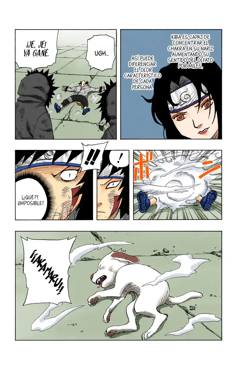 Naruto Full Color - Capítulo 76 - Página 19 - LectorTMOo