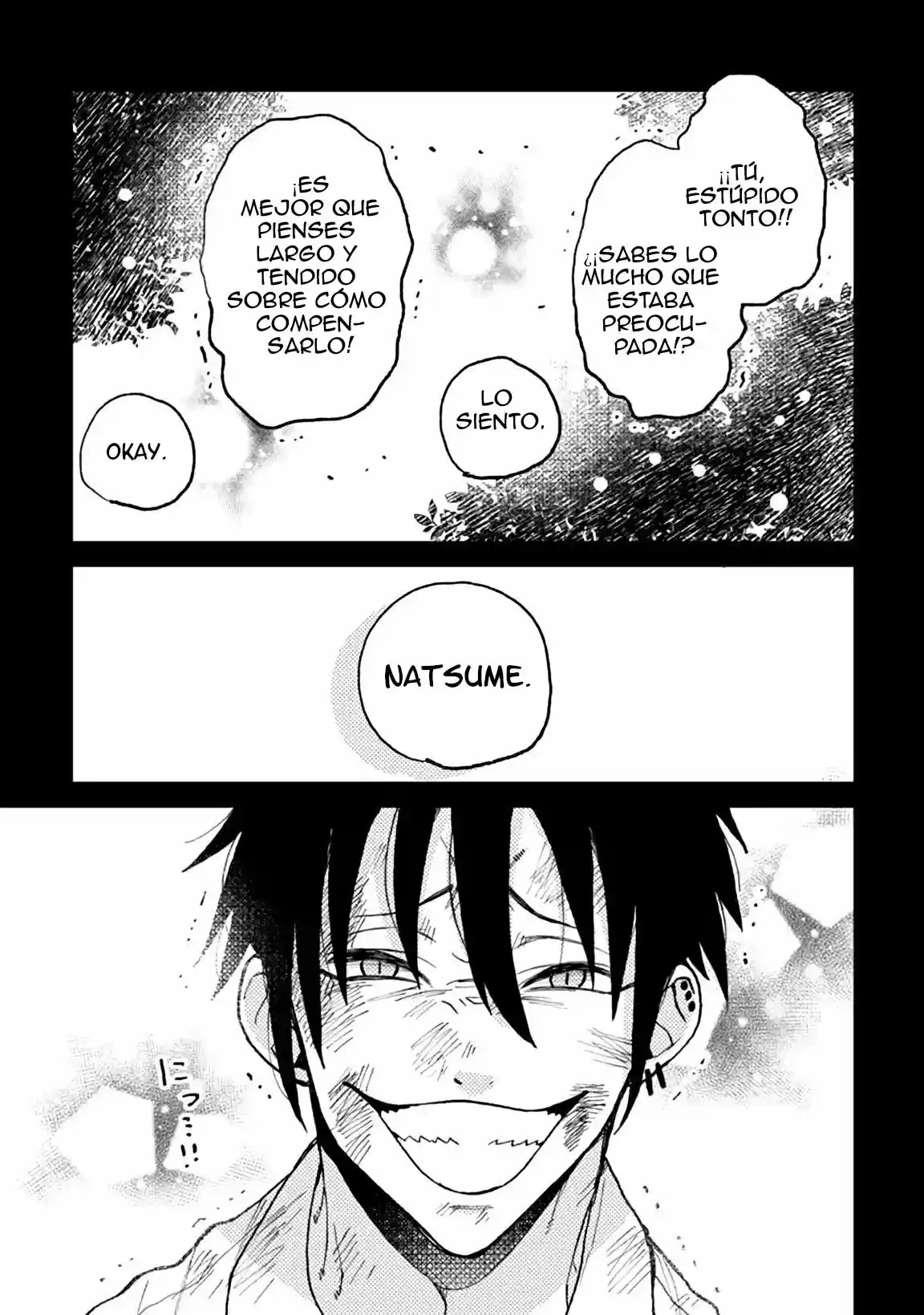 Natsume And Natsume - Capítulo 4.50 - Página 12 - LectorTMOo