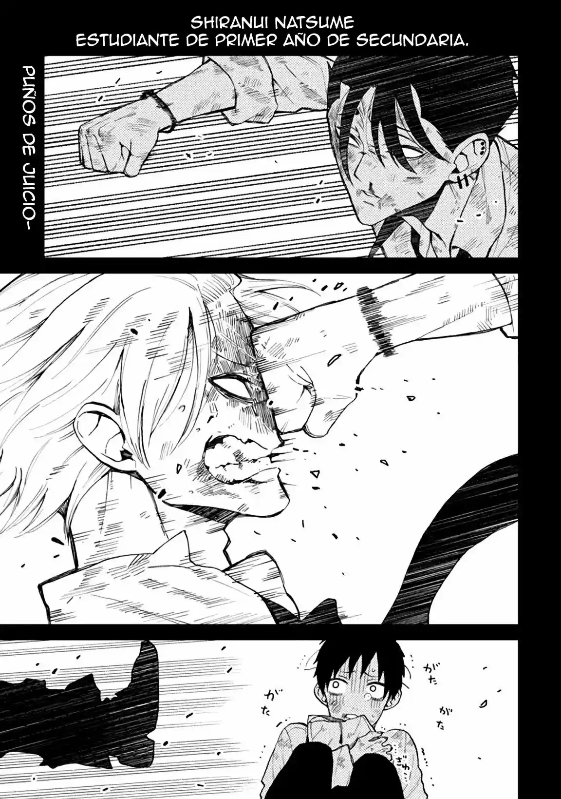 Natsume To Natsume - Capítulo 4 - Página 3 - LectorTMOo
