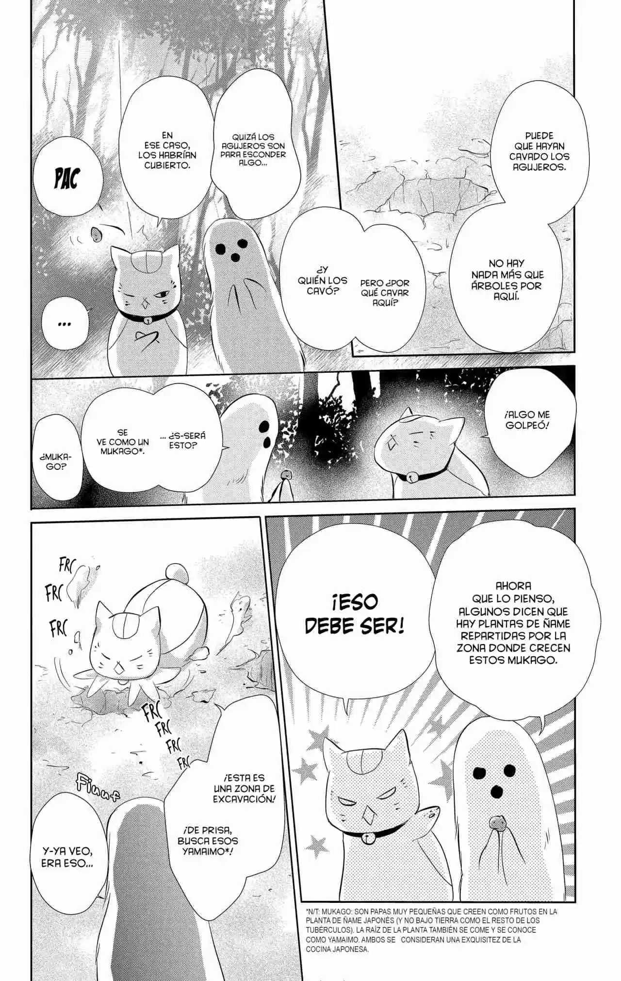 Natsume Yuujinchou - Capítulo 109 - Página 13 - LectorTMOo