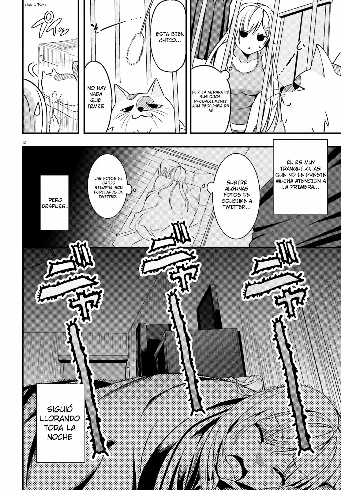 Neeko Wa Tsurai Yo - Capítulo 15 - Página 12 - LectorTMOo