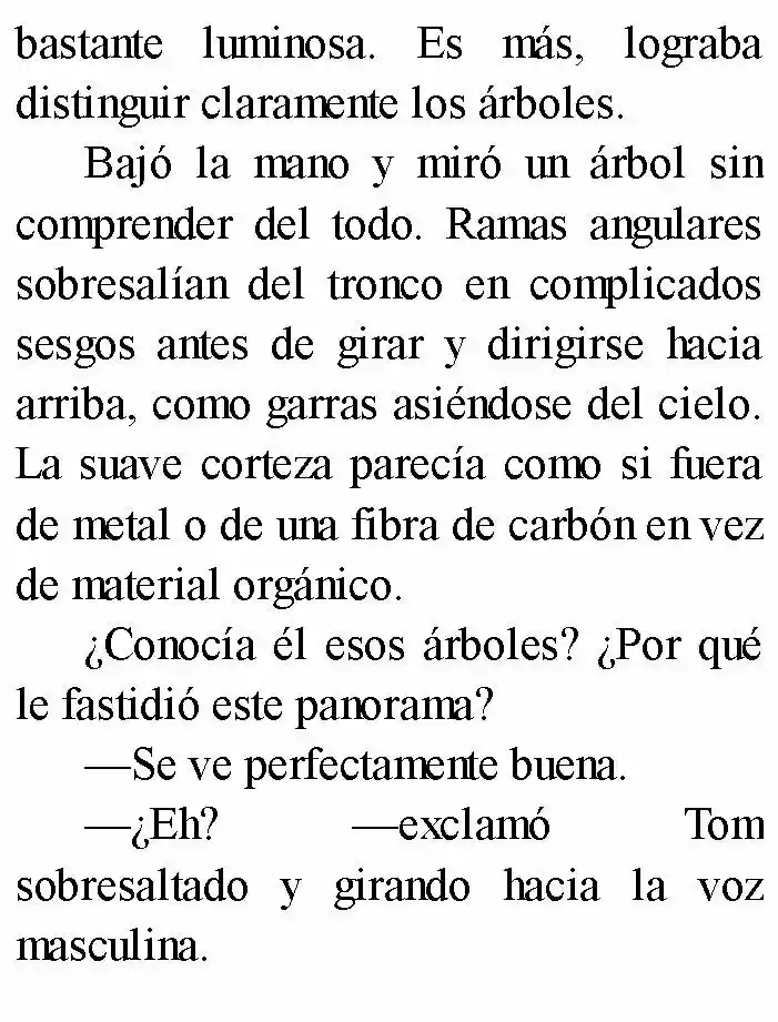 Negro: El Nacimiento Del Mal (Novela) - Capítulo 2 - Página 5 - LectorTMOo