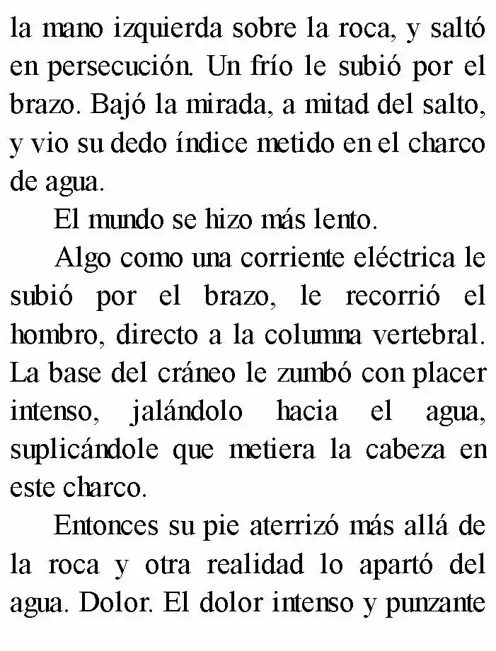 Negro: El Nacimiento Del Mal (Novela) - Capítulo 2 - Página 14 - LectorTMOo
