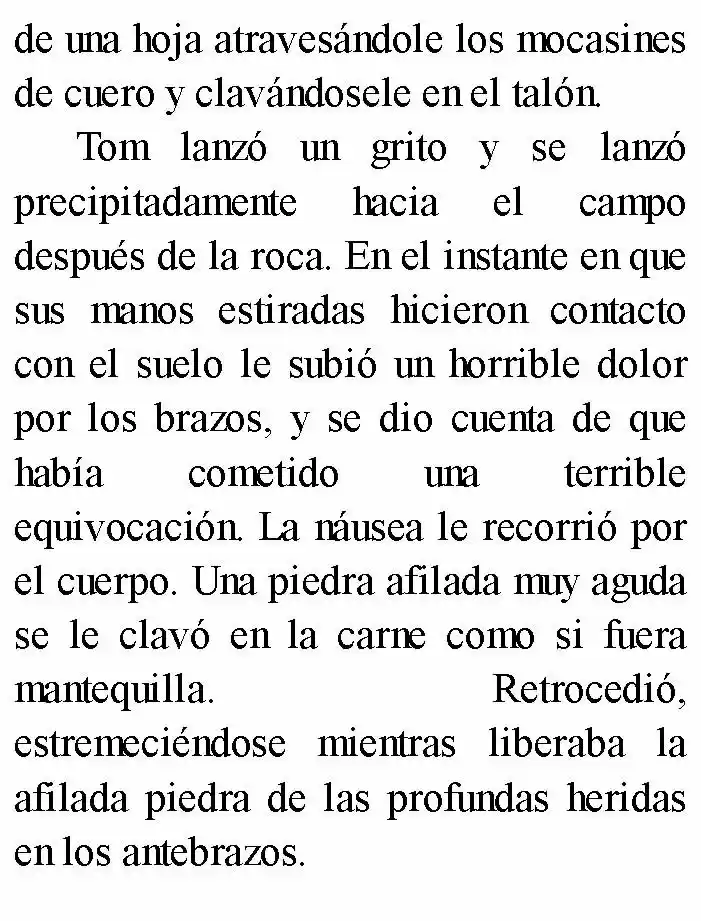 Negro: El Nacimiento Del Mal (Novela) - Capítulo 2 - Página 15 - LectorTMOo
