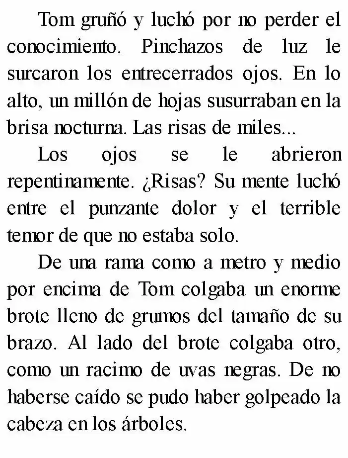 Negro: El Nacimiento Del Mal (Novela) - Capítulo 2 - Página 16 - LectorTMOo