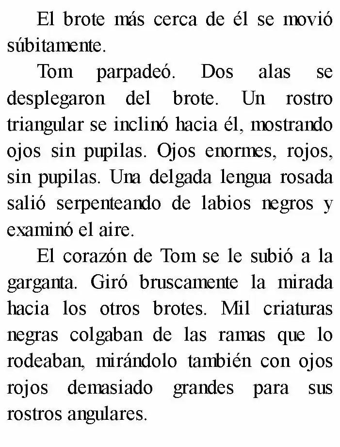Negro: El Nacimiento Del Mal (Novela) - Capítulo 2 - Página 17 - LectorTMOo