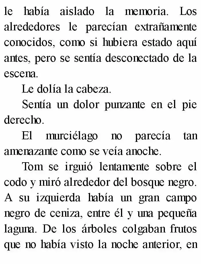 Negro: El Nacimiento Del Mal (Novela) - Capítulo 4 - Página 4 - LectorTMOo