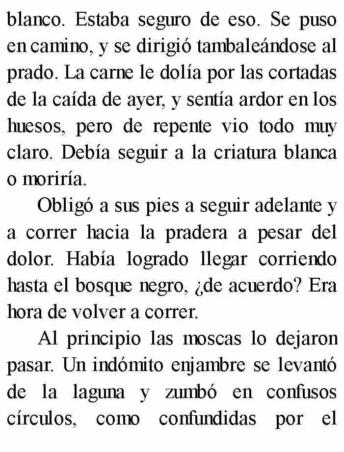 Negro: El Nacimiento Del Mal (Novela) - Capítulo 4 - Página 14 - LectorTMOo